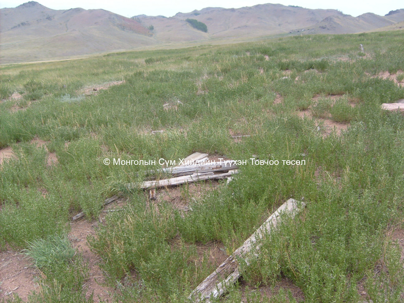 Зүүн талаас авсан